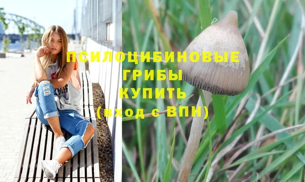 каннабис Верея